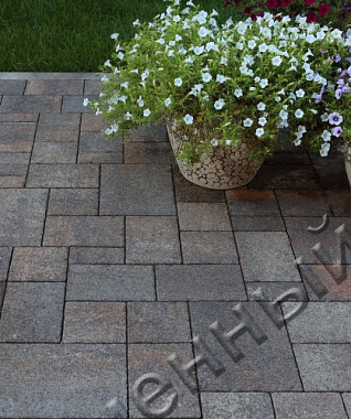 Тротуарная плитка МЮНХЕН - Листопад гранит Клен, комплект из 4 видов плит
